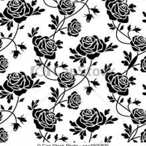 Imagen de Astrid Johanna Cely Diaz