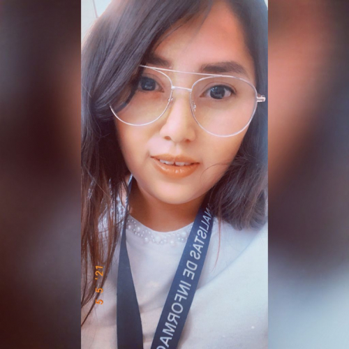 Imagen de ITZAMAR DEL PILAR LICEA MENDOZA