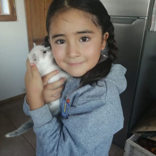 Pedro Romero's picture