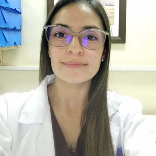 Imagen de Lady Dayahne Torres Guio